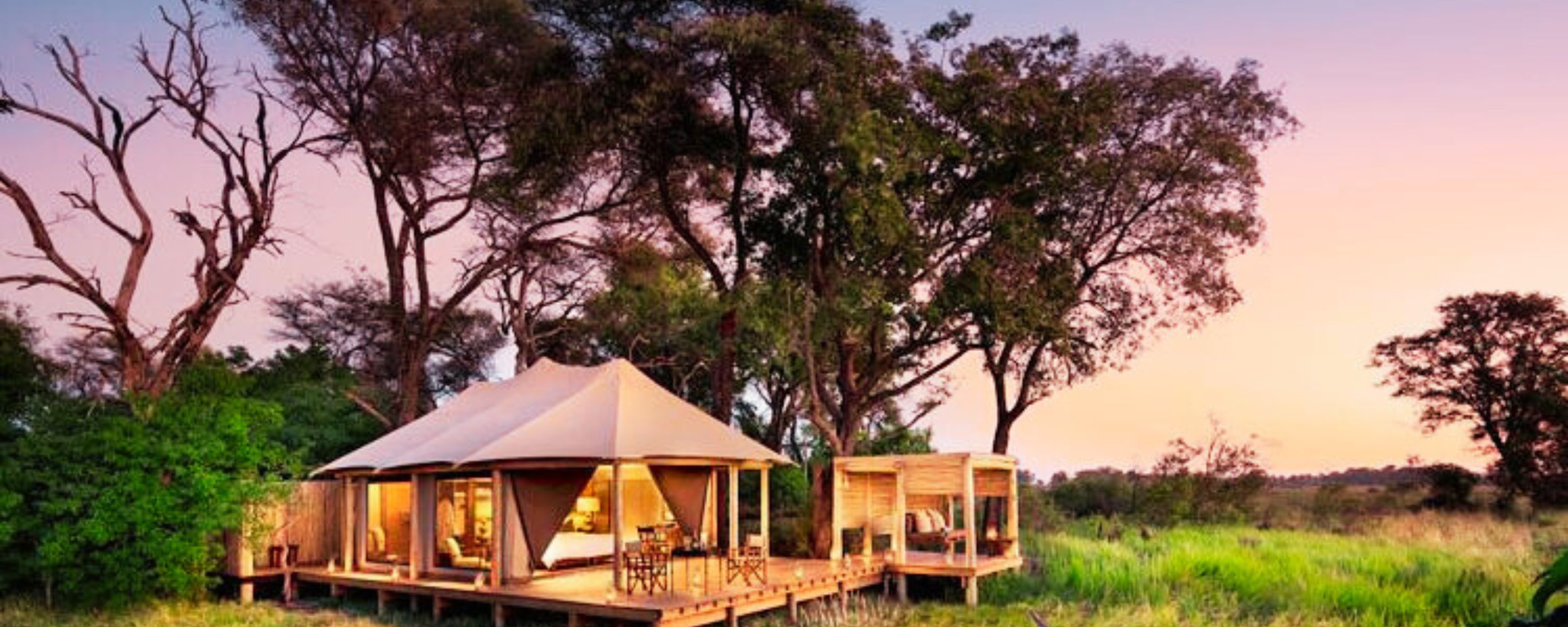 Roaming the Wild A Spectacular Safari Itinerary