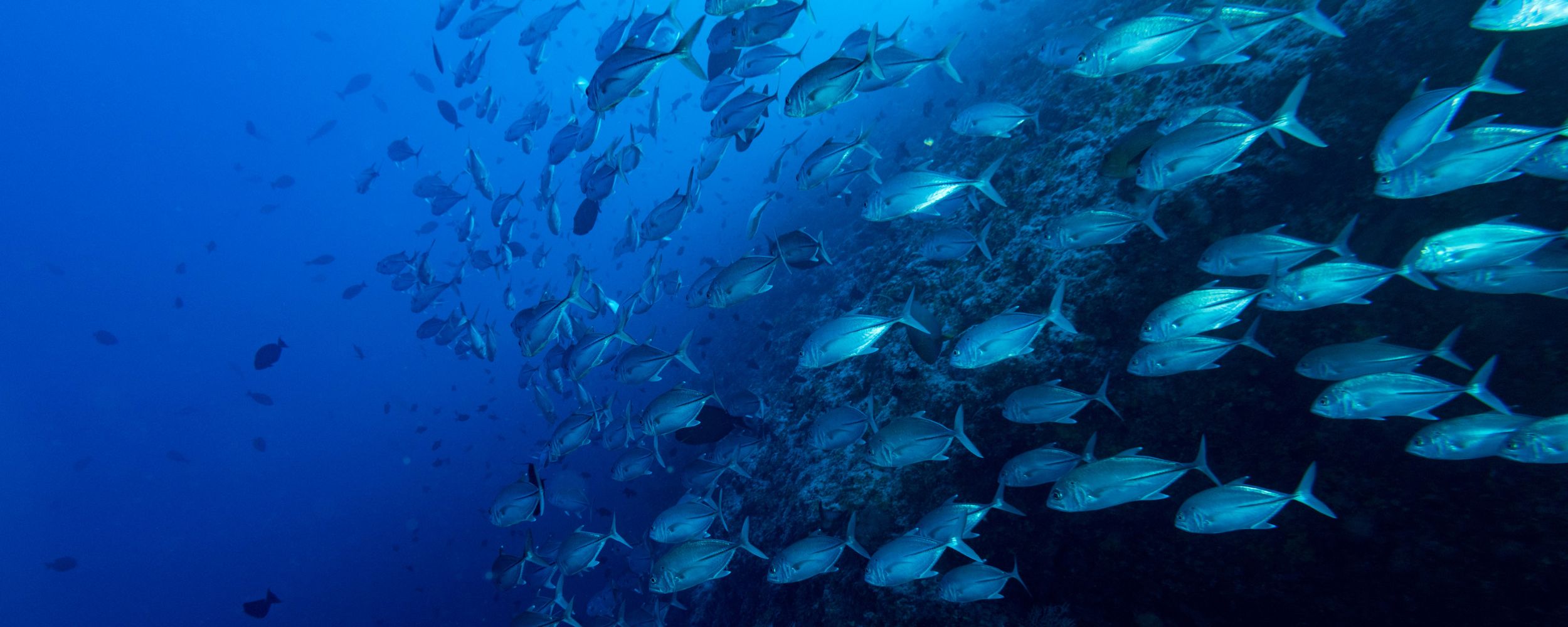 10 essential things to pack