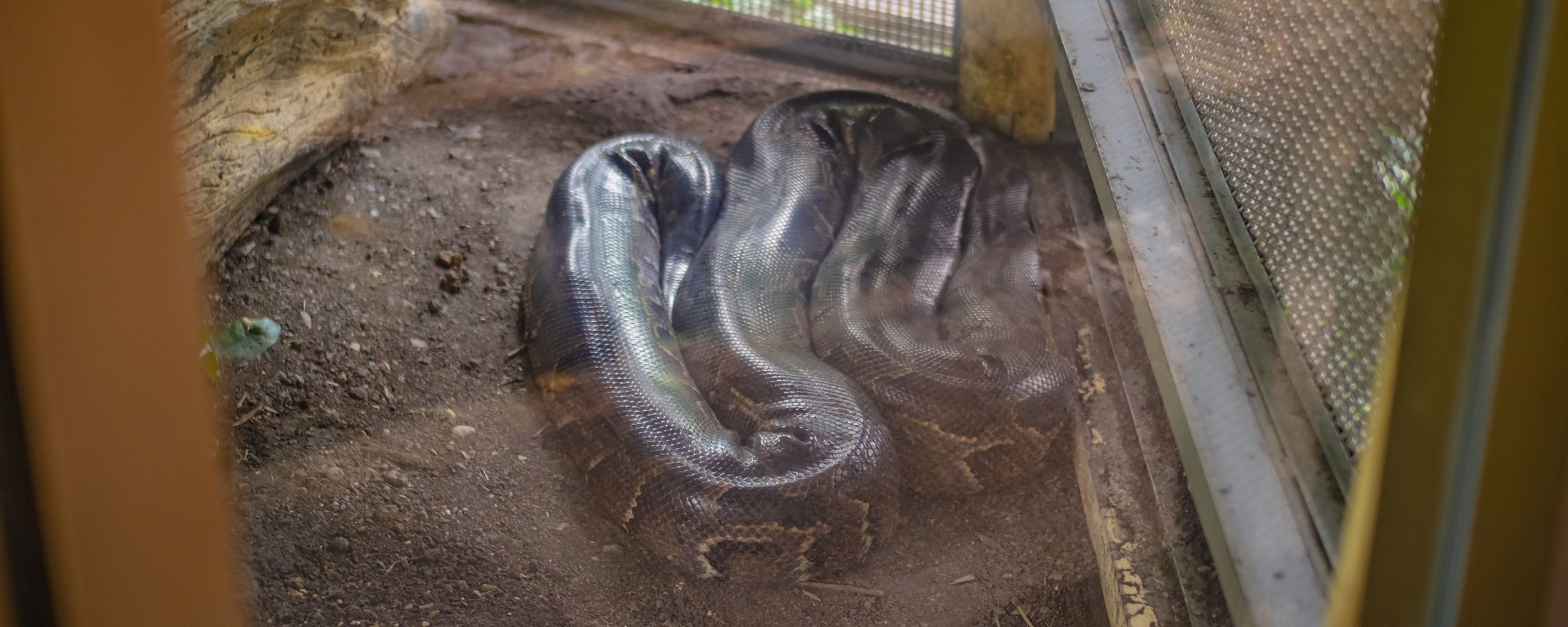 10 essential things to pack