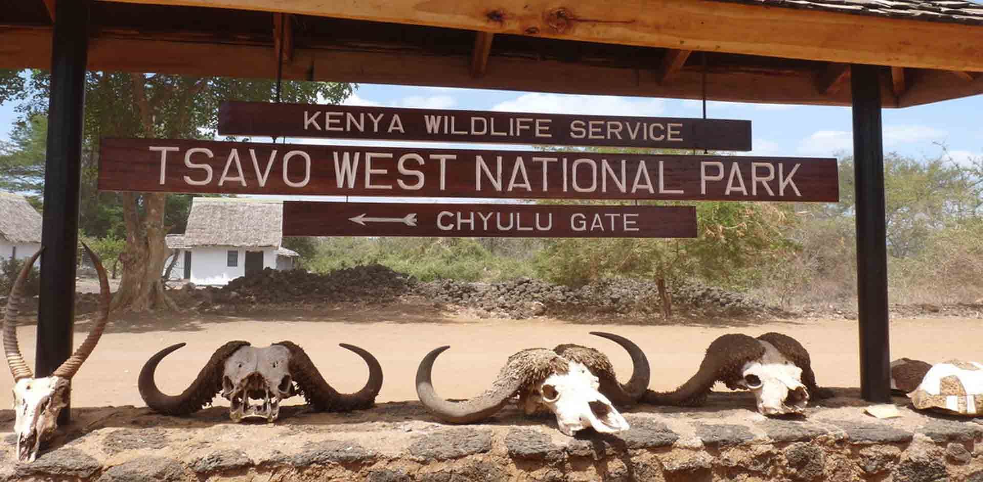 Discovering the Diversity of Tsavo West