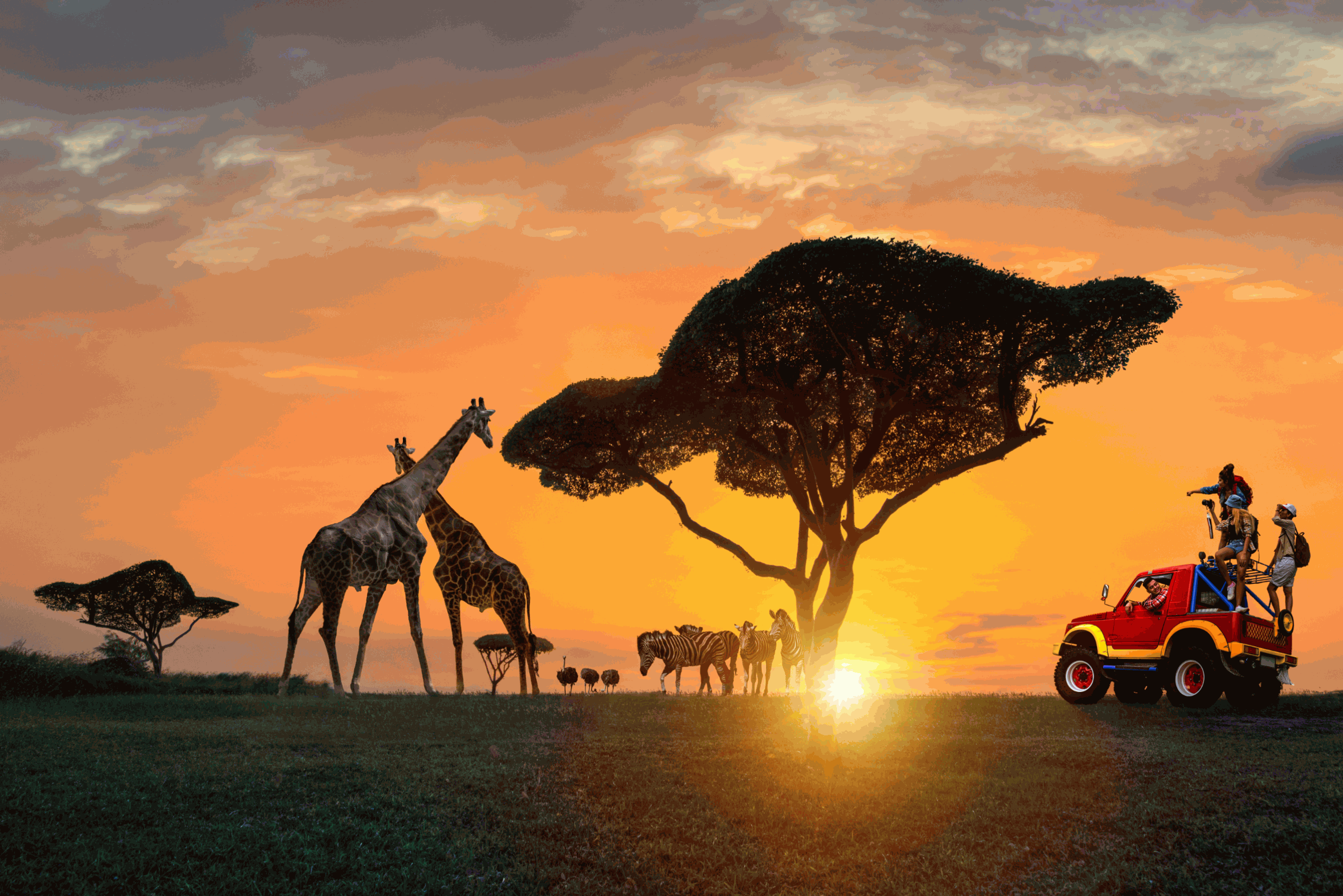 Sunset Safari