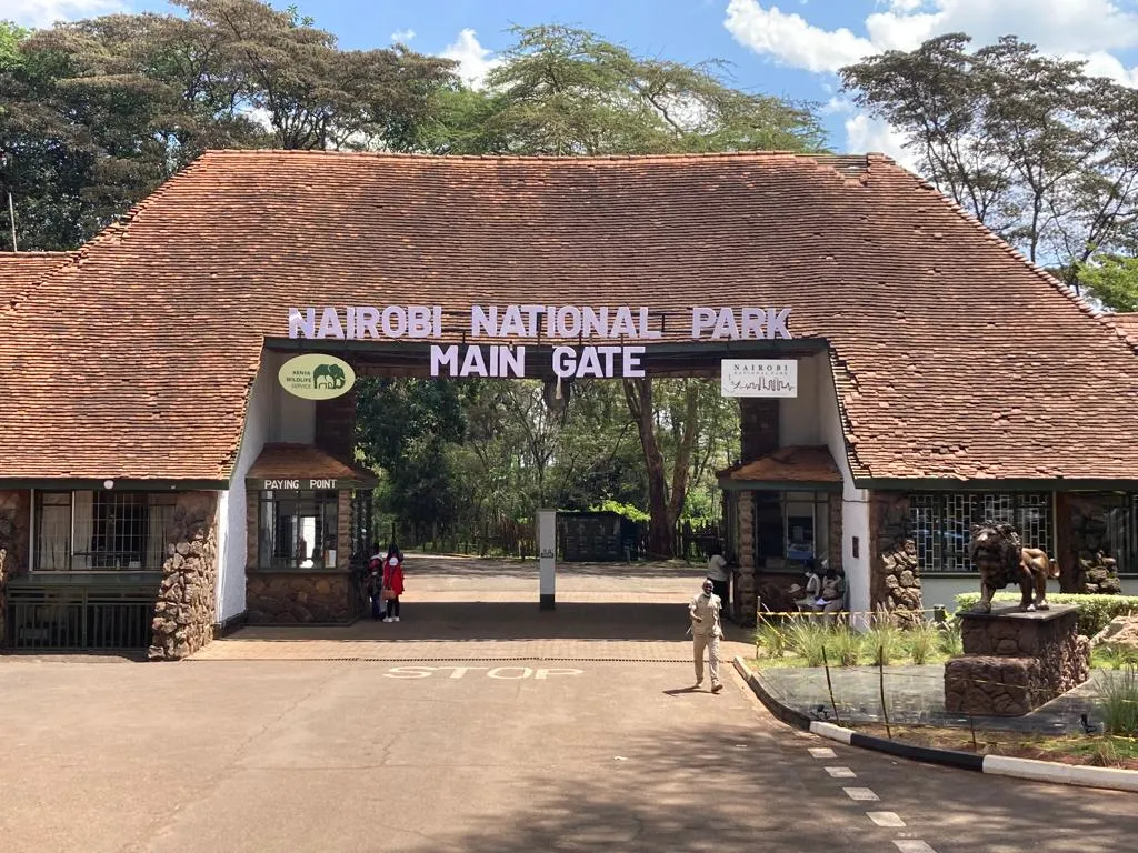 Explore Nairobi National Park Safari