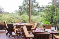  The River Cafe, Nairobi